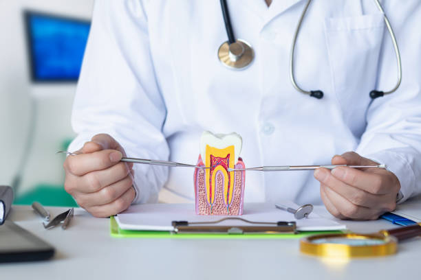 Best Same-Day Emergency Dentist in Pembroke, VA